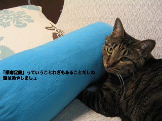 f0116546_19255774.gif