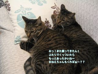 f0116546_19261383.gif