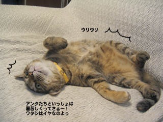 f0116546_193157.gif