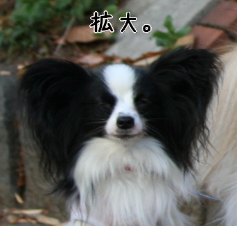 d0013149_0435861.jpg