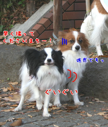 d0013149_0502317.jpg