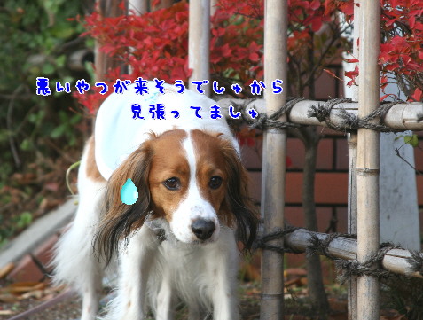 d0013149_0514189.jpg