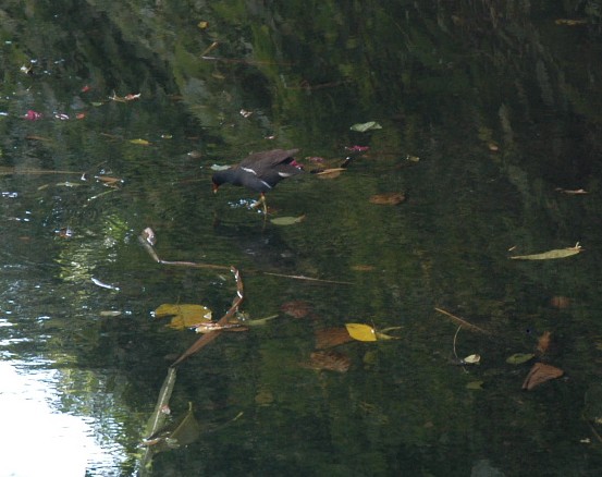 e0050449_18395135.jpg
