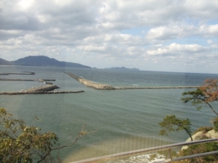 c0081552_1633282.jpg