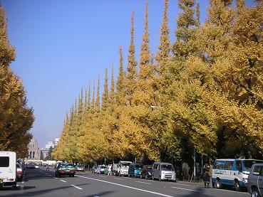 f0104554_8132461.jpg