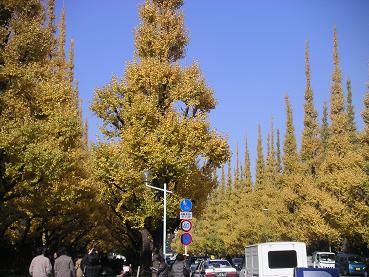 f0104554_862792.jpg