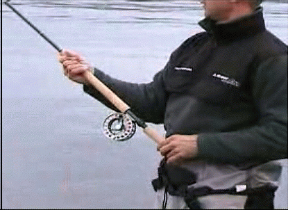 f0084561_11193449.gif