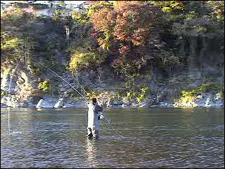 f0084561_1122558.gif