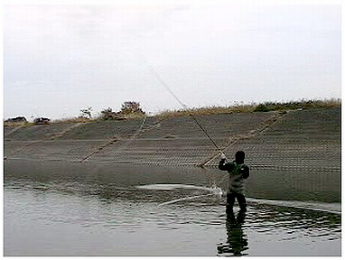 f0084561_1134636.jpg