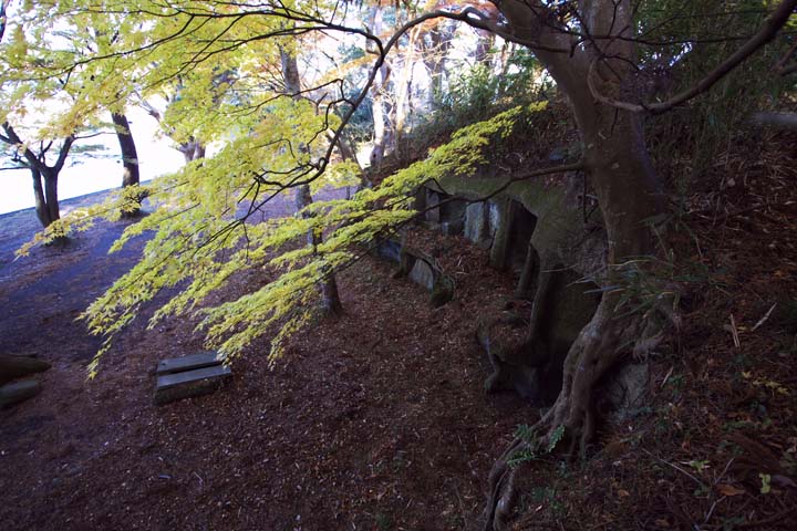 e0067463_5454446.jpg
