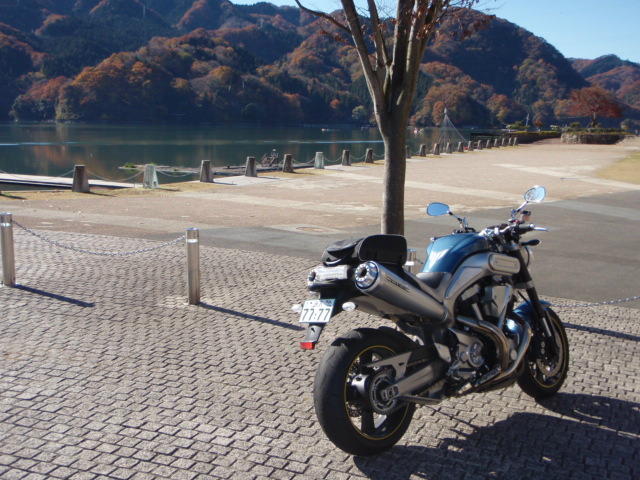 a0108165_21335629.jpg