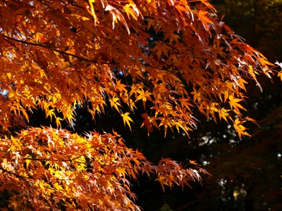 c0102268_20592563.jpg