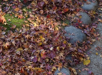 c0102268_2111251.jpg