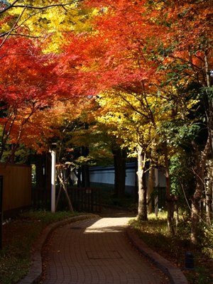 c0102268_21135925.jpg