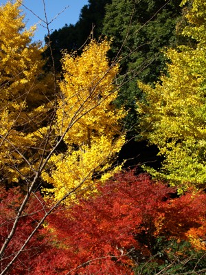 c0102268_21163120.jpg