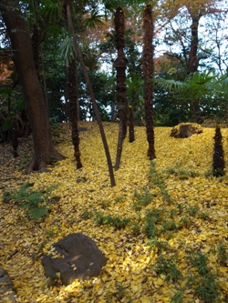 c0102268_21252170.jpg