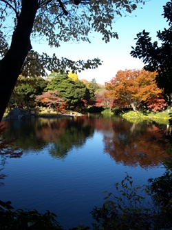 c0102268_2193943.jpg