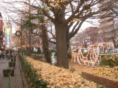 c0112172_11134225.jpg