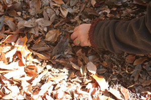 c0144173_23401025.jpg