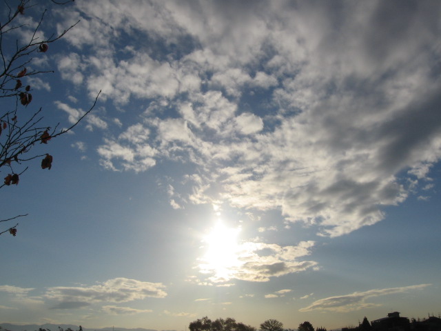 e0117976_14562035.jpg