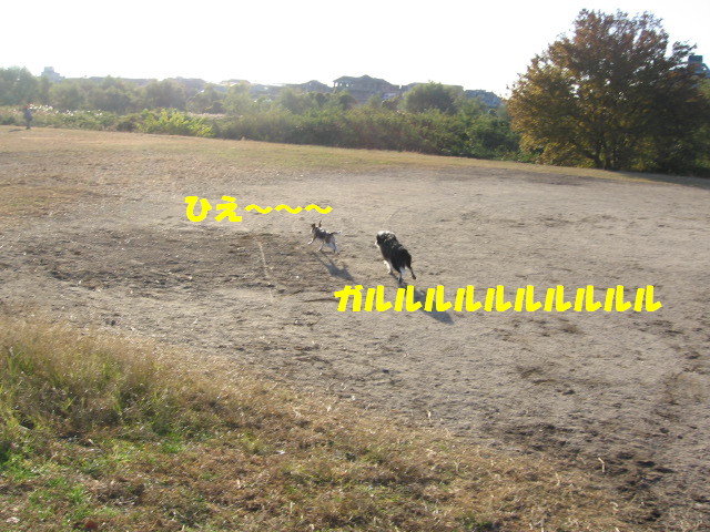 e0117976_14575915.jpg