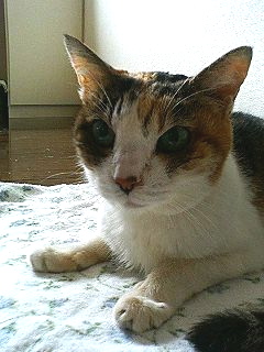 f0054677_8595631.jpg