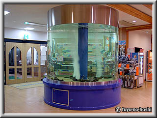 b0093478_11245133.jpg