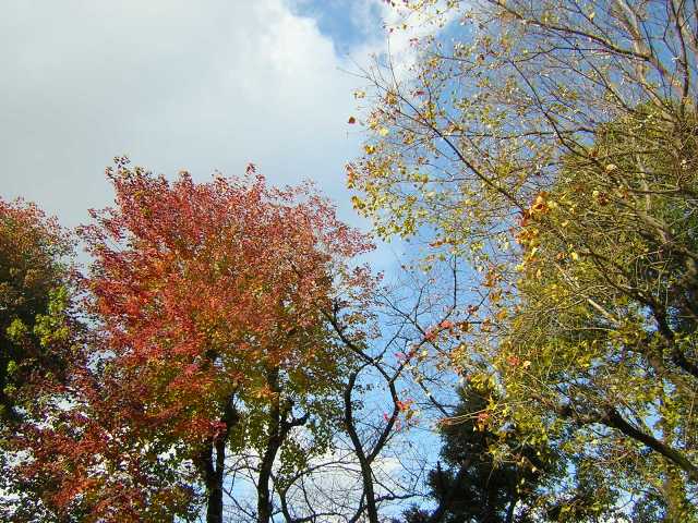 c0135480_11543133.jpg