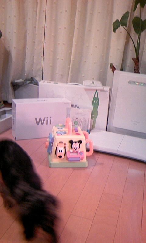 c0020681_20592546.jpg