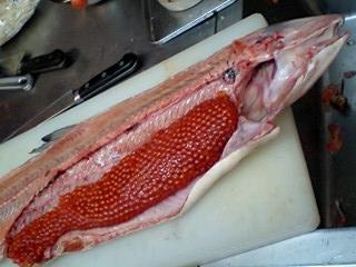 f0085291_18505531.jpg