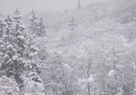 c0118496_21515114.jpg