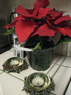 c0119197_1633177.jpg