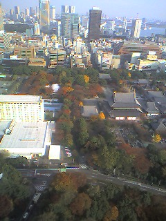 a0065800_1359619.jpg