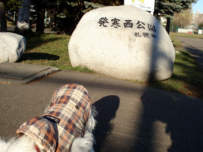 a0050802_012296.jpg