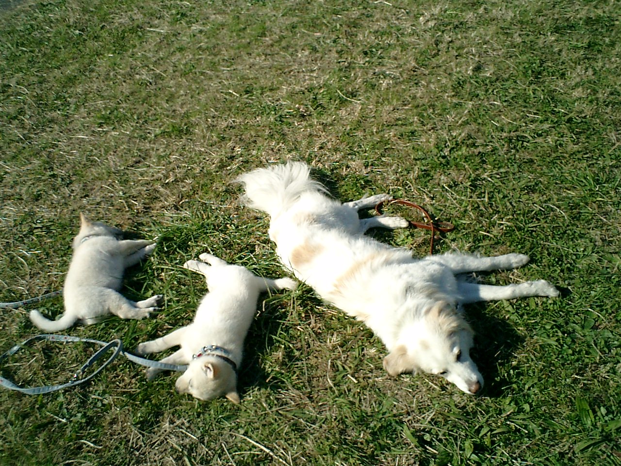 a0032004_3273471.jpg