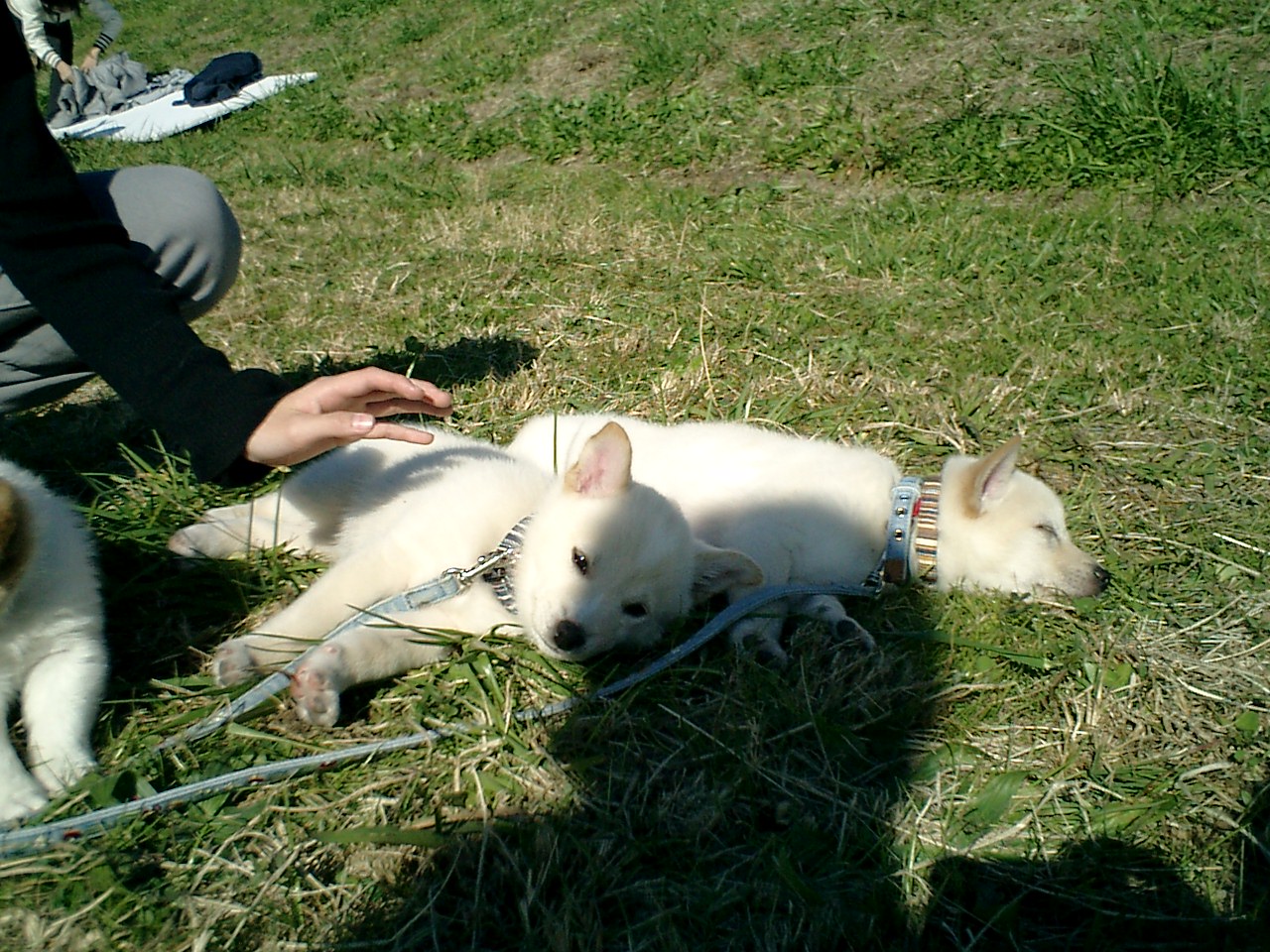 a0032004_3293062.jpg