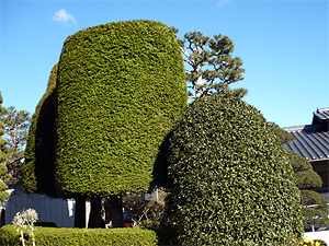 e0099905_13294092.jpg
