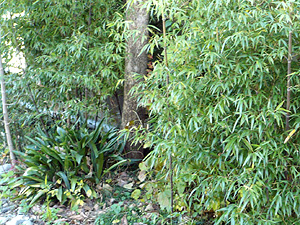 e0099905_13402438.jpg