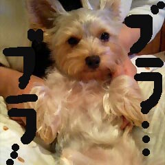 c0036617_1858998.jpg