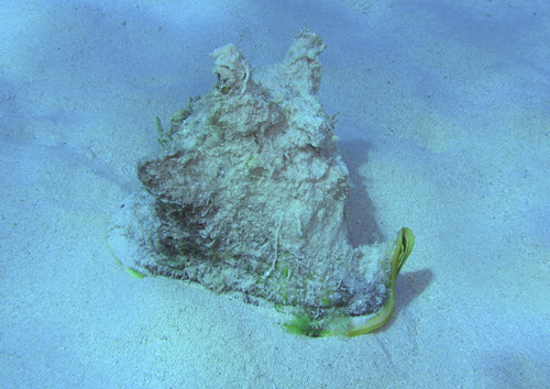 f0041021_1941423.jpg