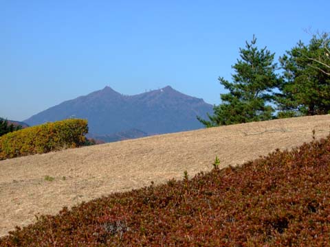 f0147025_17132466.jpg