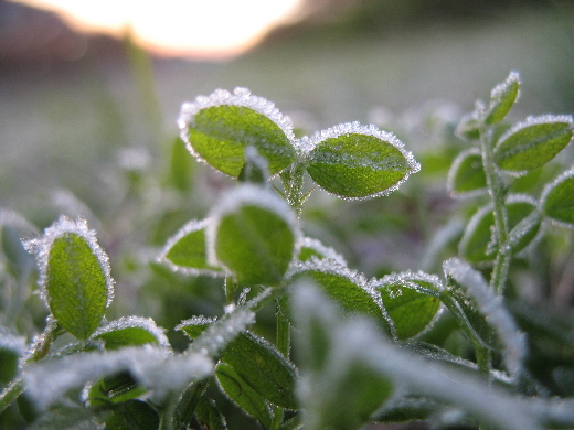 a0016829_23112857.jpg