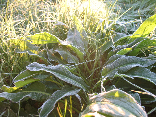 a0016829_23131477.jpg