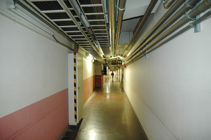 e0037129_20152144.jpg