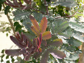 f0061334_21372191.jpg