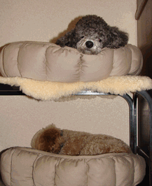 c0136736_11543757.gif