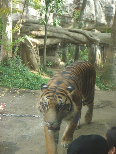 f0088839_19395549.jpg