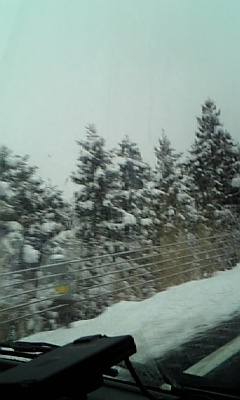 c0006440_1033053.jpg
