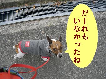c0113146_1628110.jpg