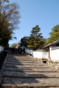 d0123346_13341740.jpg